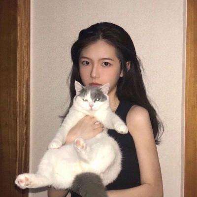 玩会三国手机版下载
